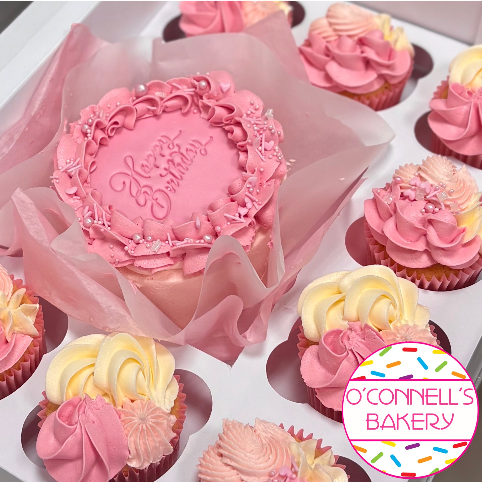 Bento Cake Boxes - Pink