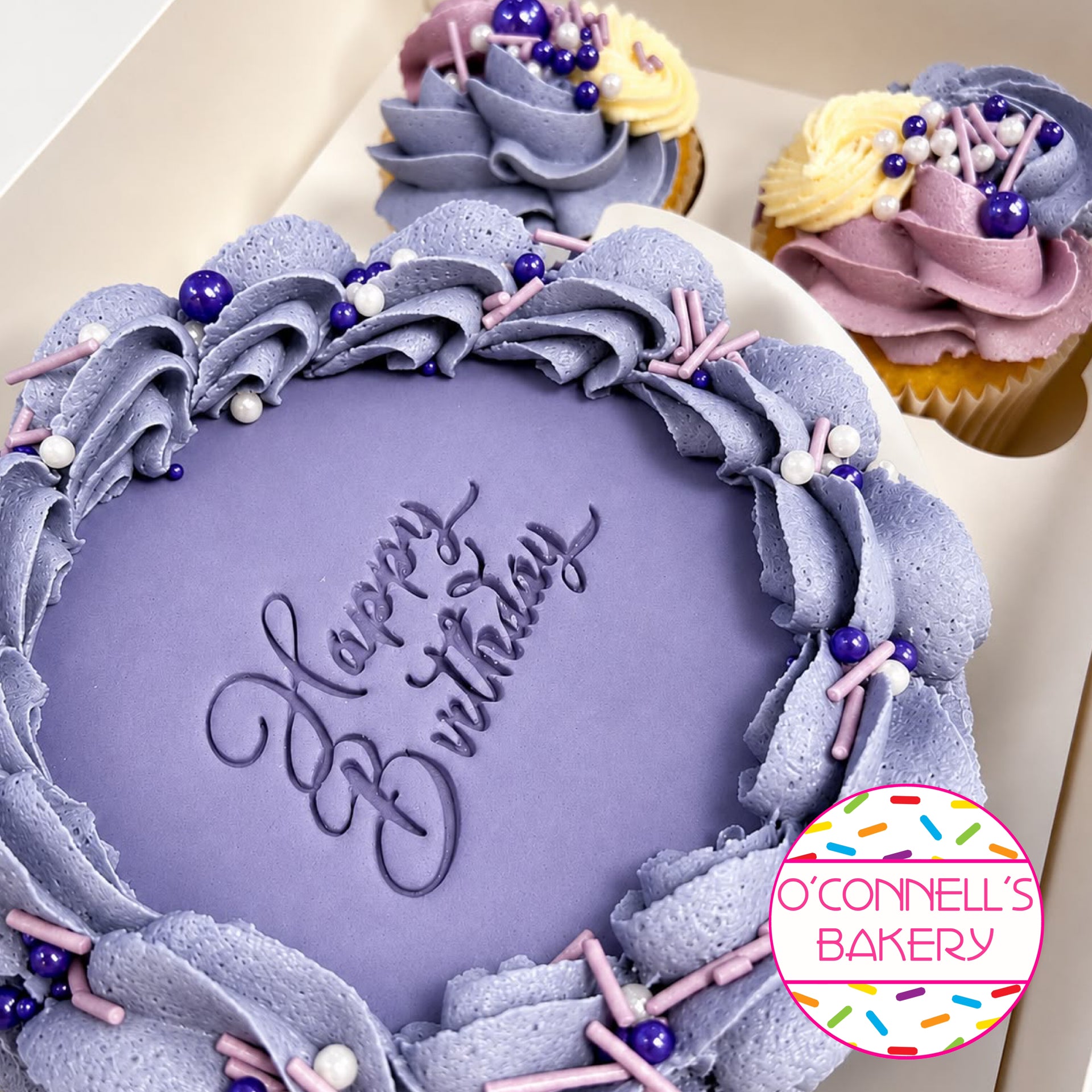 Bento Cake Box - Purple