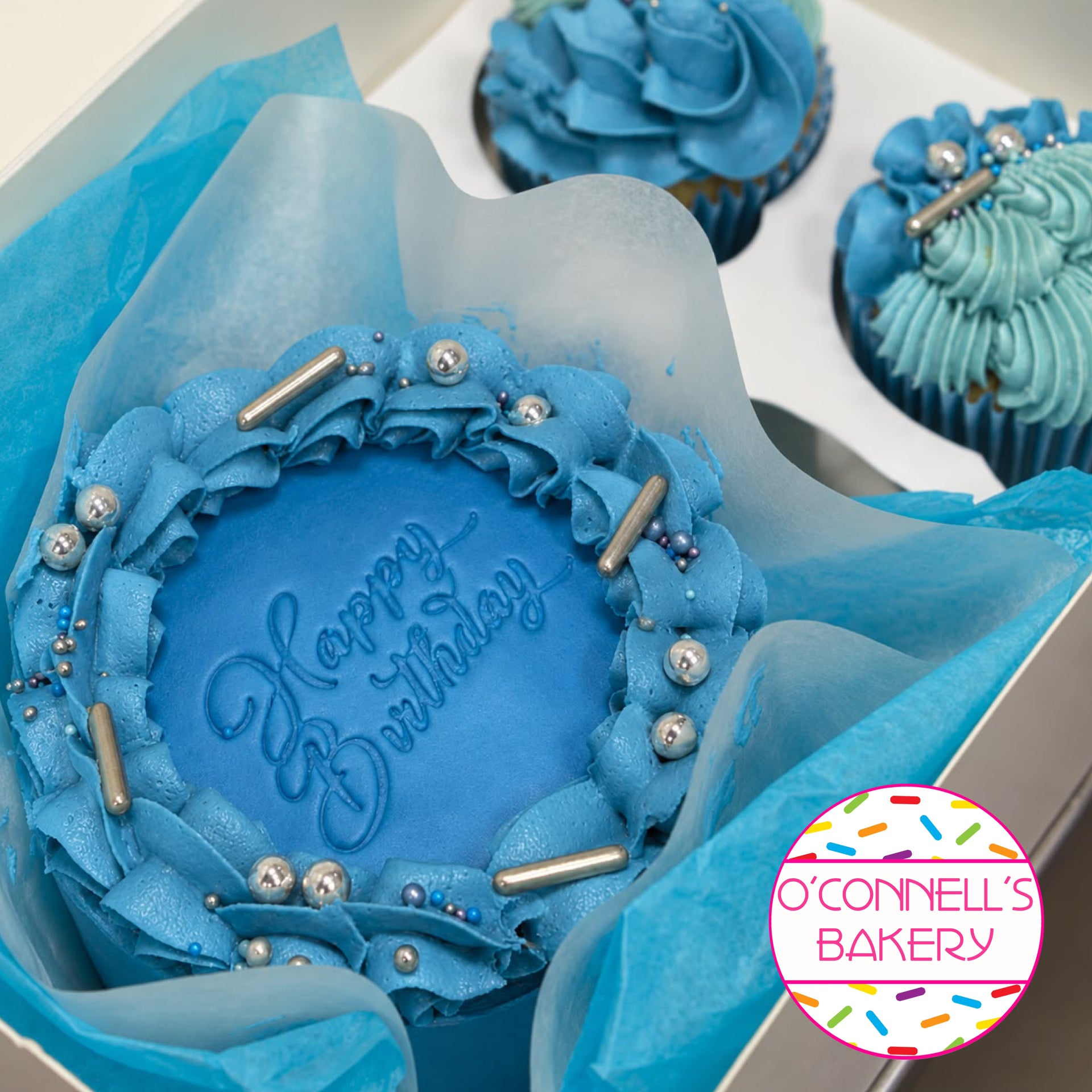 Bento Cake Box - Blue