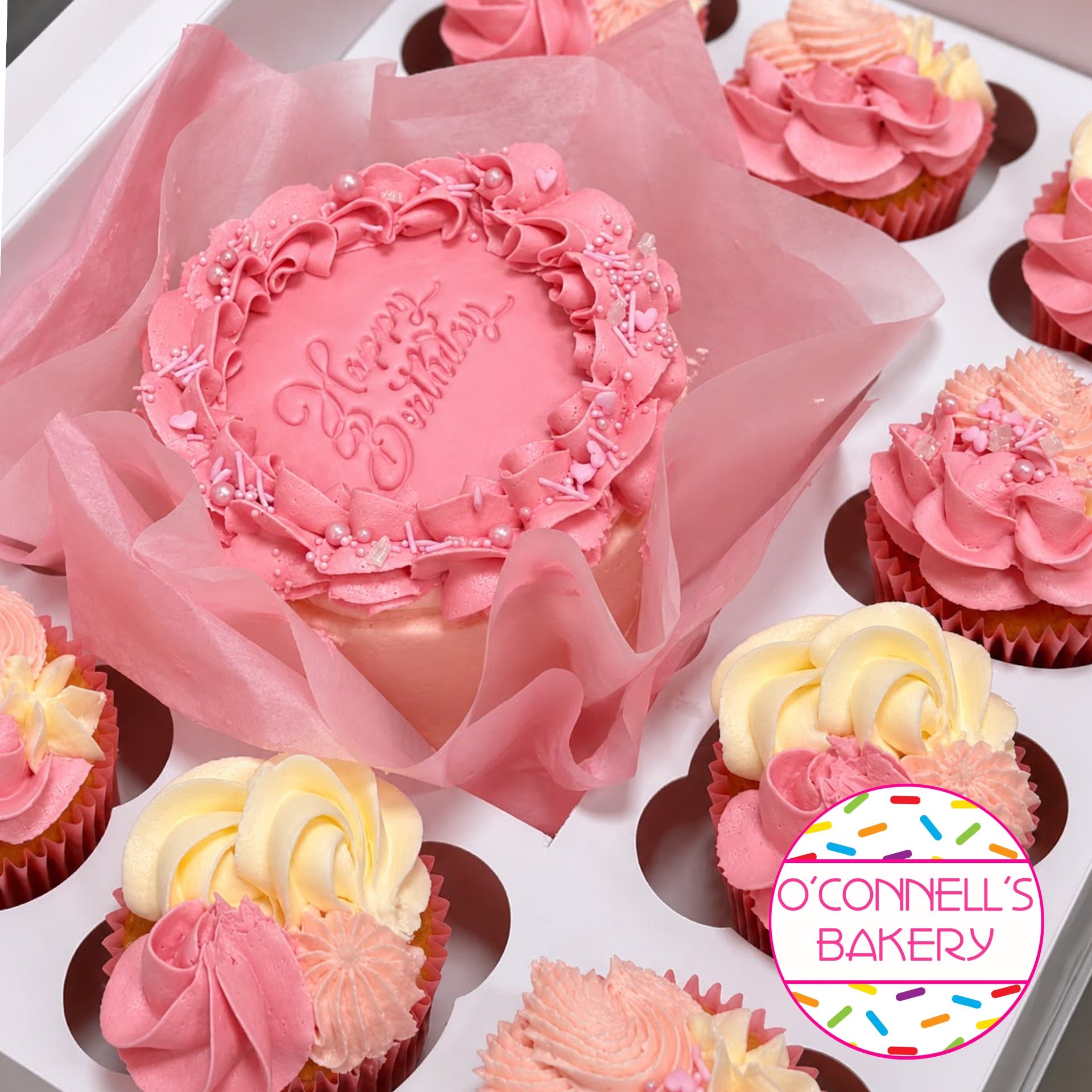 Bento Cake Boxes - Pink