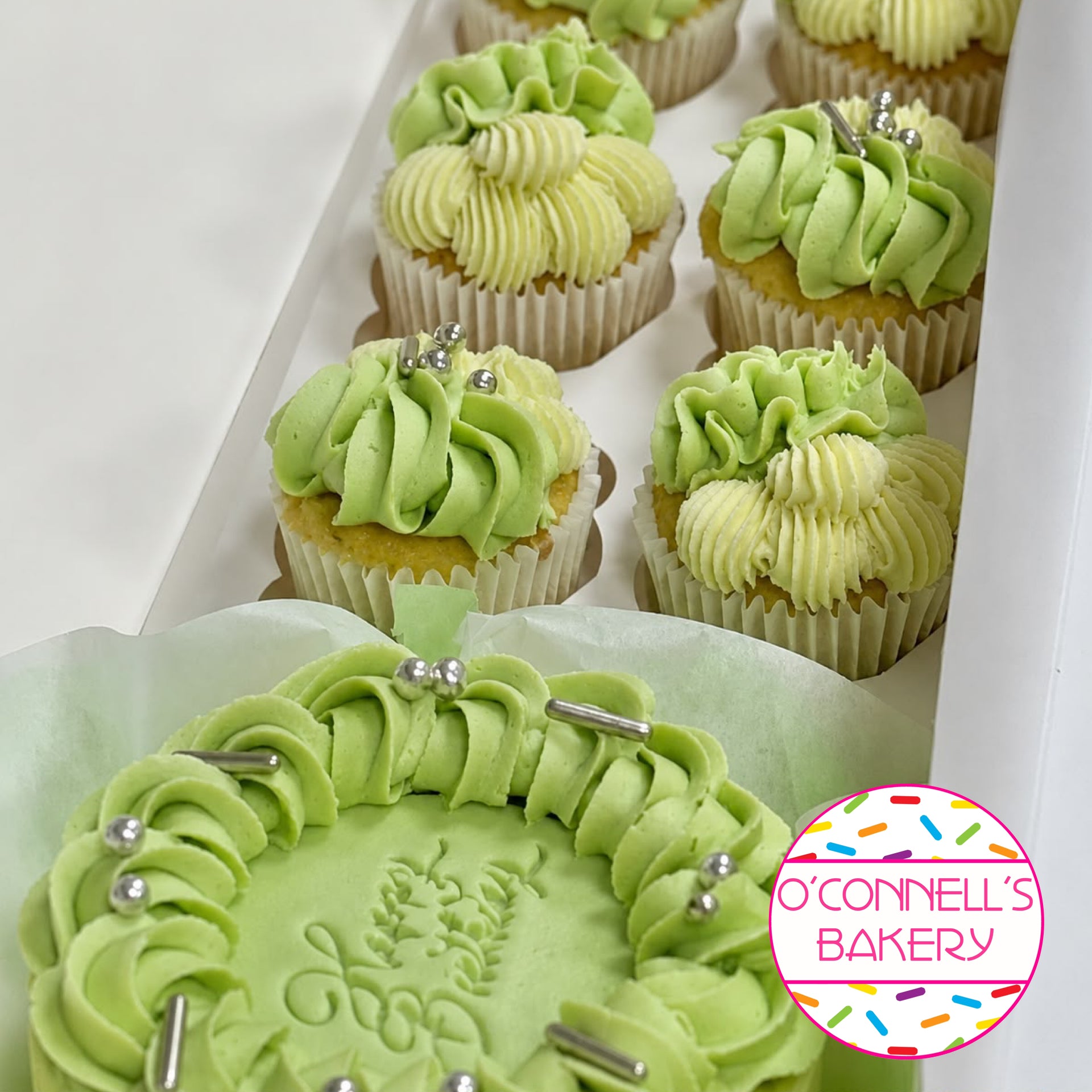 Bento Cake Box - Sage Green