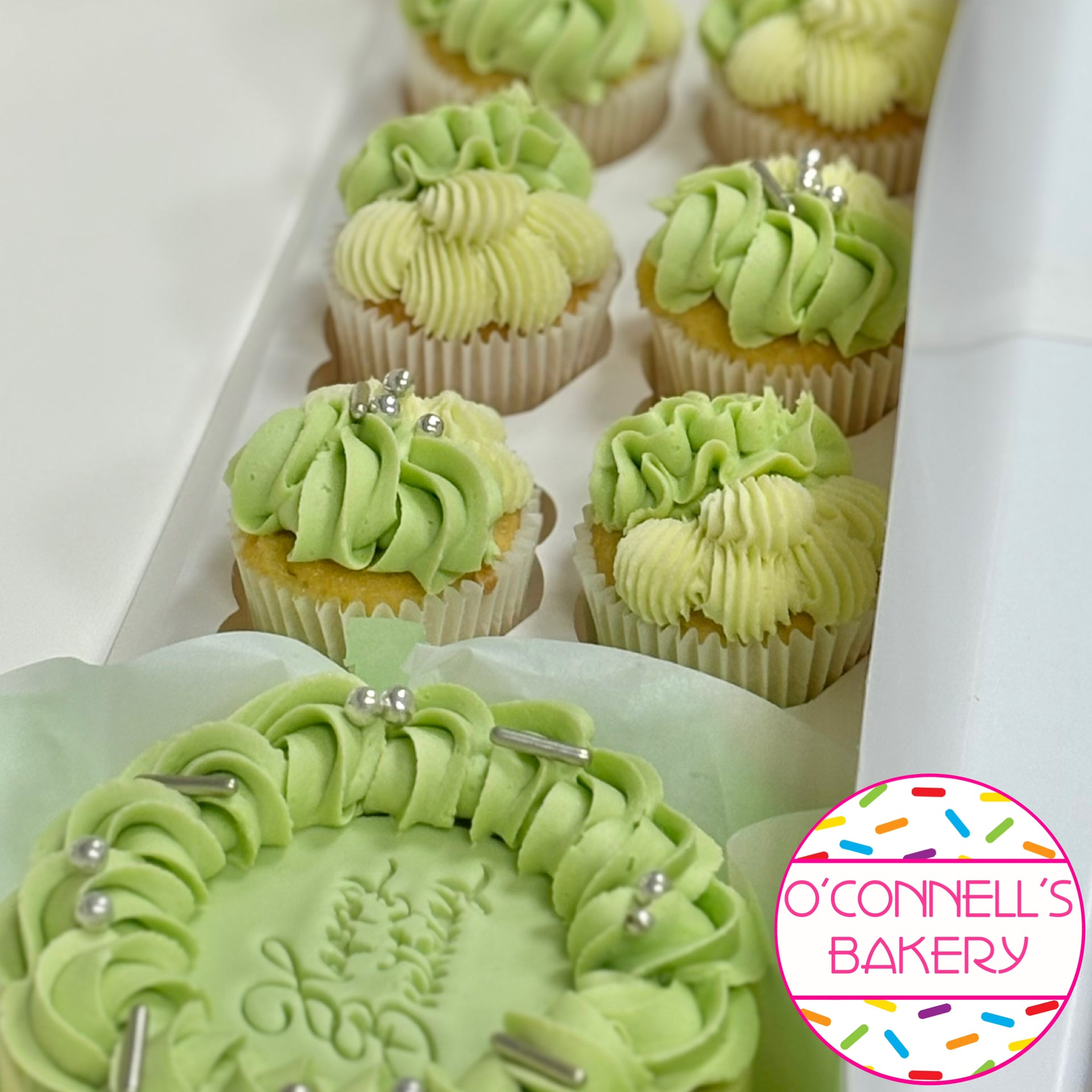 Bento Cake Box - Sage Green